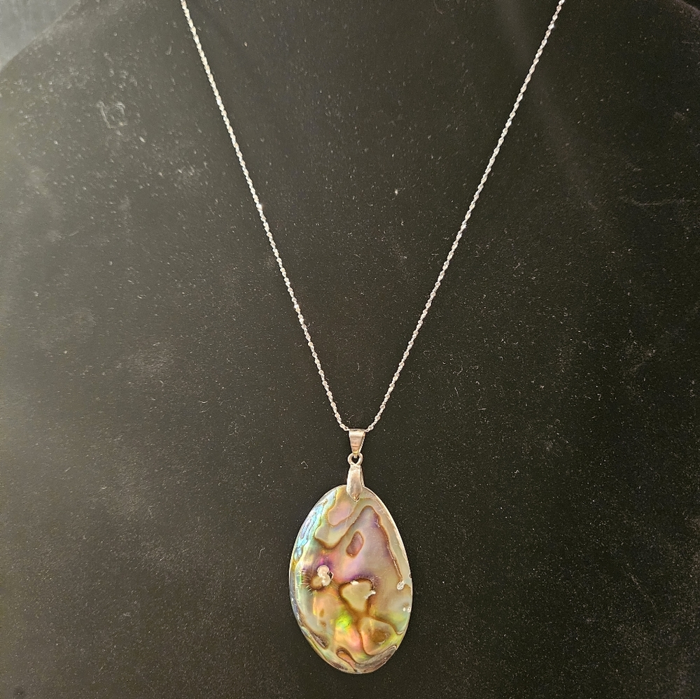 Abalone Shell Pendant W/Stainless Steel Chain